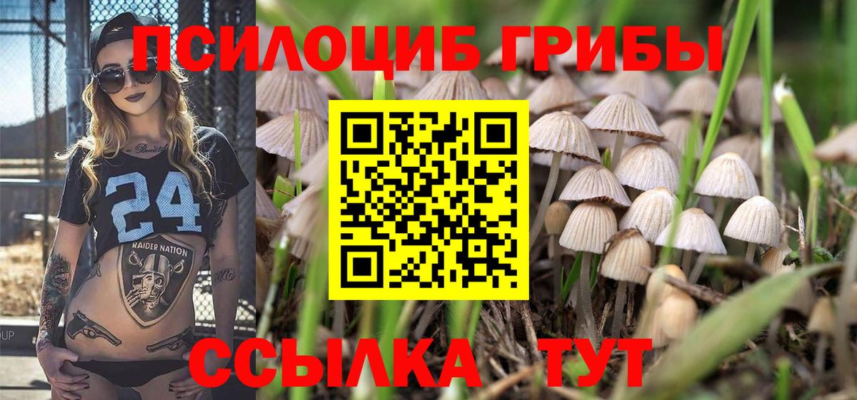 Галлюциногенные грибы мухоморы  Галлюциногенные грибы Psilocybine cubensis  Родники  Вход с VPN 